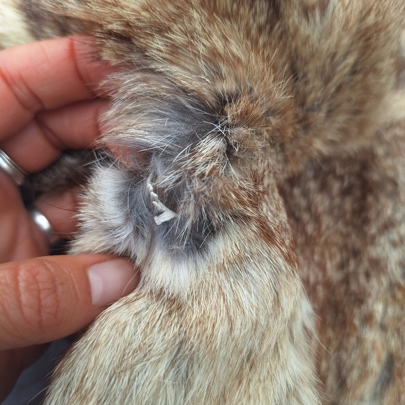 Real Rabbit Fur Bomber Jacket - Picture 4 of 5